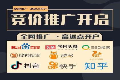 大型SEM服务公司案例分析